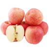 【山东栖霞红富士苹果】新鲜水果 山东栖霞红富士脆甜当季水果整箱发货 商品缩略图4