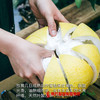 【全国包邮】云南西双版纳傣柚 （单果2-2.5斤）（72小时内发货） 商品缩略图2
