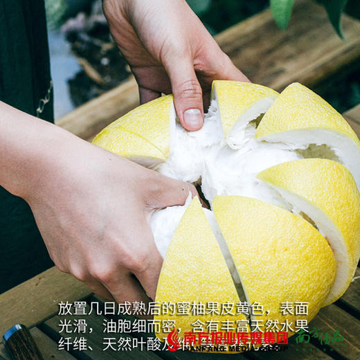 【全国包邮】云南西双版纳傣柚 （单果2-2.5斤）（72小时内发货） 商品图2