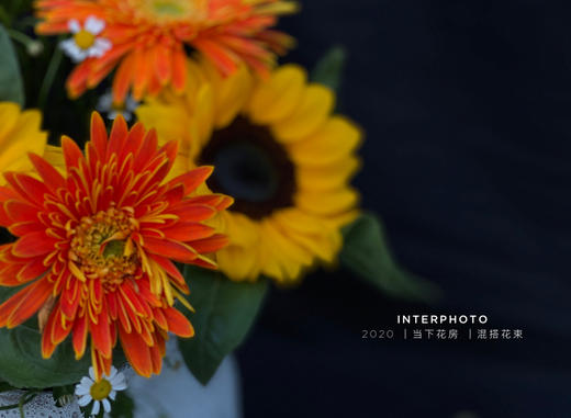 偏爱花束 高脚禅意花瓶1个 中花向日葵3 橙色非洲菊4 橙色小雏菊2 洋甘菊2 当下花房