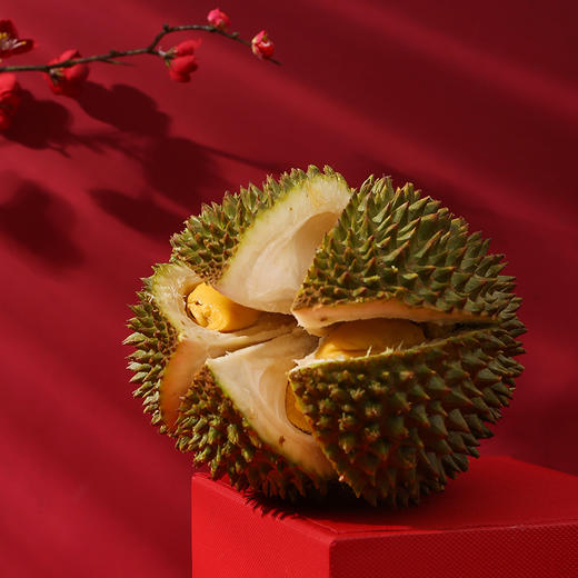 【一口就上瘾】马来西亚猫山王榴莲 超鲜口感 液氮冷冻 “结霜态”美味 商品图2