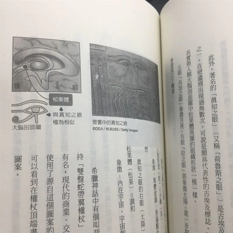 松果体的奇迹 觉醒内在潜能 改写人生与身体的剧本