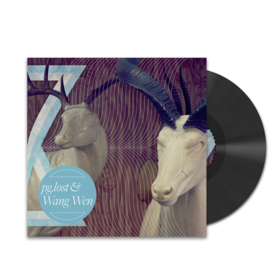 惘闻&pg.lost - 《Split》黑胶