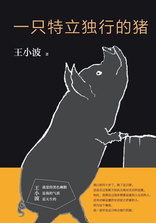一只特立独行的猪 商品图0