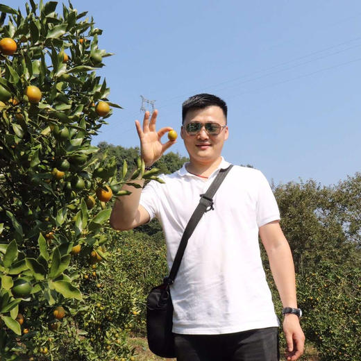 融安滑皮金桔 有机种植高山果  3/4斤装 商品图5