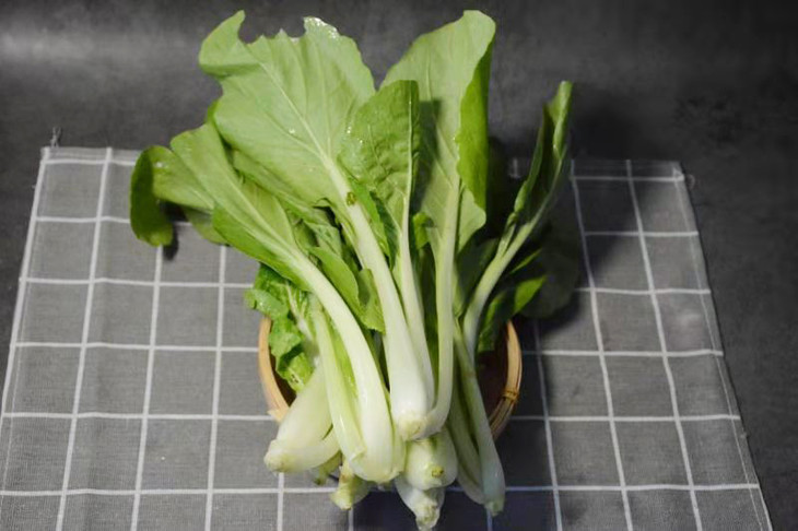 中杆白白菜农户邵德炎约400g份部分有虫眼