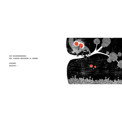 海豚绘本花园：红气球不见了平装点读版宝宝绘本0-3岁幼儿园小班中班大班一年级经典书籍儿童 商品图3