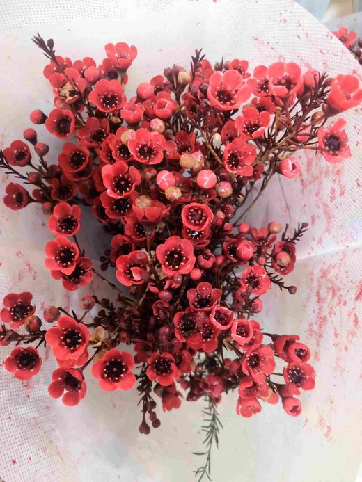 配花-澳梅-红色 商品图1