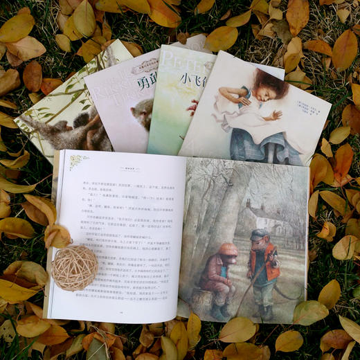 柳林风声 商品图1