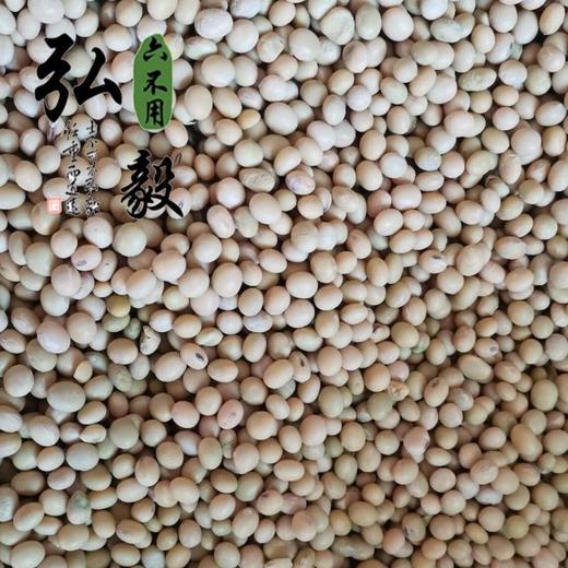 【弘毅六不用生态农场】六不用 自留种 大豆粒 老品种 1斤/份 商品图2