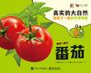 《真实的大自然》果蔬系列9册（草莓，葡萄，香蕉，苹果 番茄，玉米，土豆，蘑菇，豆子） 商品缩略图2