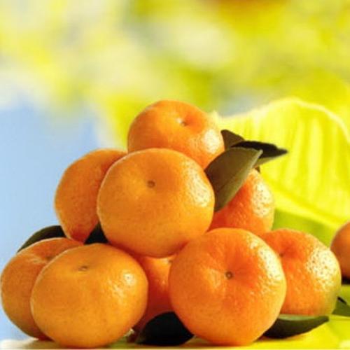 2025年江西南丰小蜜桔 净重5斤 包邮 商品图1