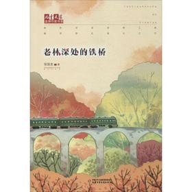 老林深处的铁桥