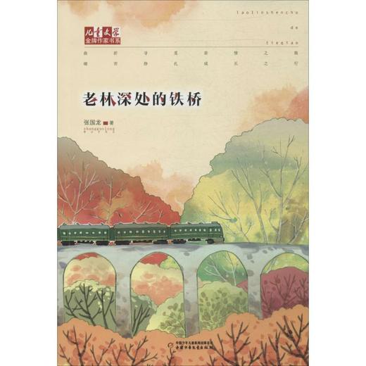 老林深处的铁桥 商品图0
