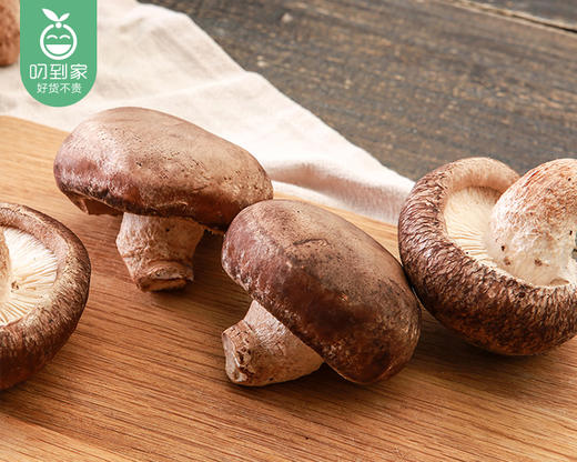 漳州新鲜香菇（去头）/1份（约200g） 商品图4