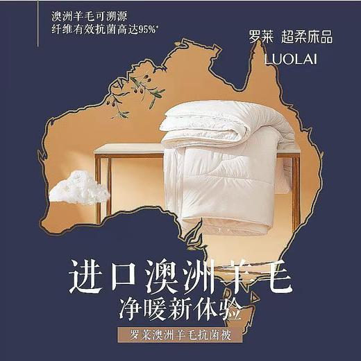 罗莱-澳洲羊毛抗菌被 商品图0