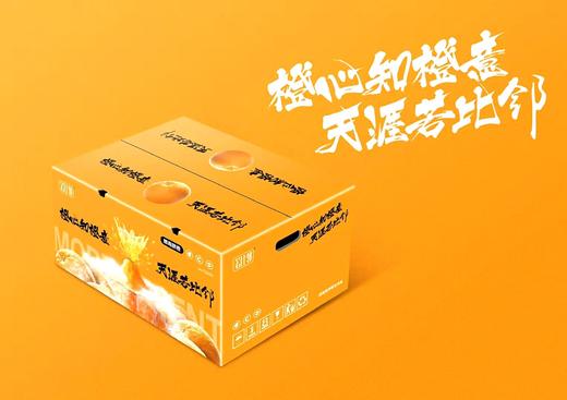【全国包邮】赣南脐橙 20斤中大果（净重18.5-19斤）（72小时内发货） 商品图4