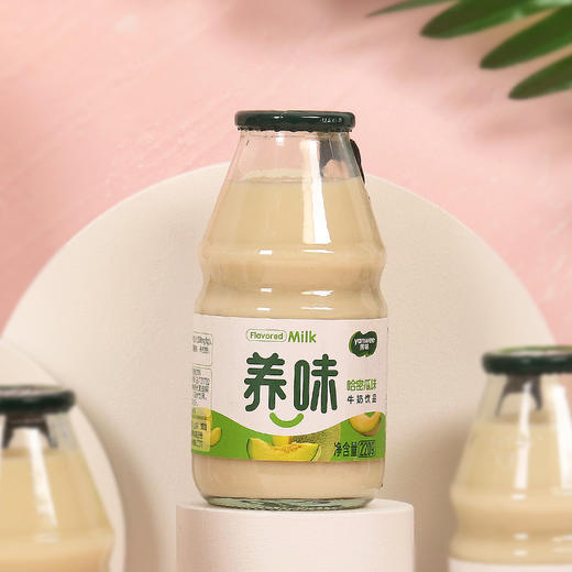 养味乳酸菌 商品图4