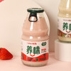 养味乳酸菌 商品缩略图5