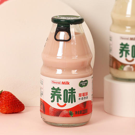 养味乳酸菌 商品图5