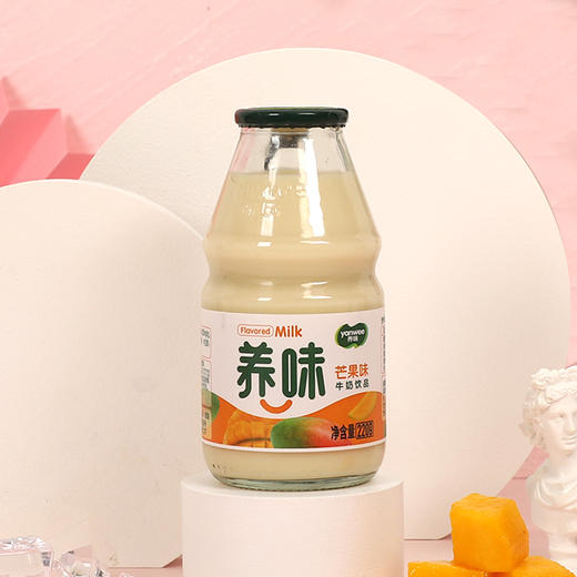 养味乳酸菌 商品图3
