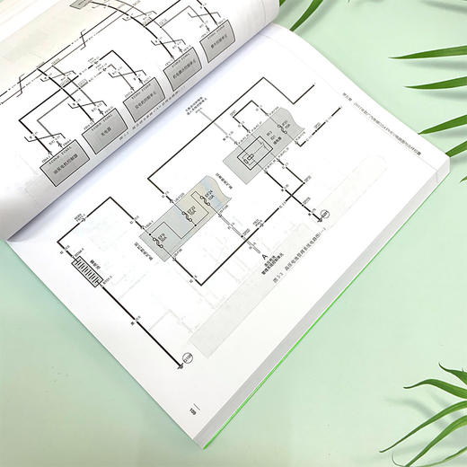 新能源汽车电路图与电器元件位置速查手册 商品图3