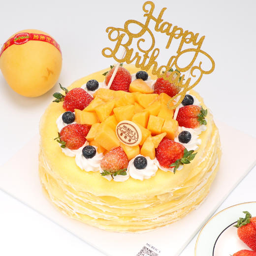 芒果千层B07（利川） 商品图0