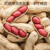 有机红皮花生米  色泽自然无漂染   可炖煮、生食 商品缩略图3