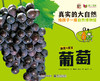 《真实的大自然》果蔬系列9册（草莓，葡萄，香蕉，苹果 番茄，玉米，土豆，蘑菇，豆子） 商品缩略图8