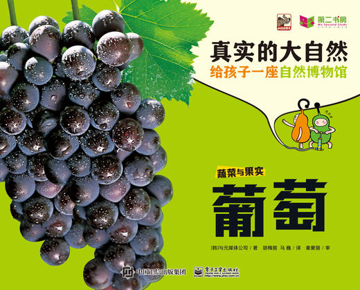《真实的大自然》果蔬系列9册（草莓，葡萄，香蕉，苹果 番茄，玉米，土豆，蘑菇，豆子） 商品图8