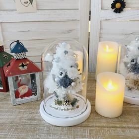 花艺 永生花床头小夜灯