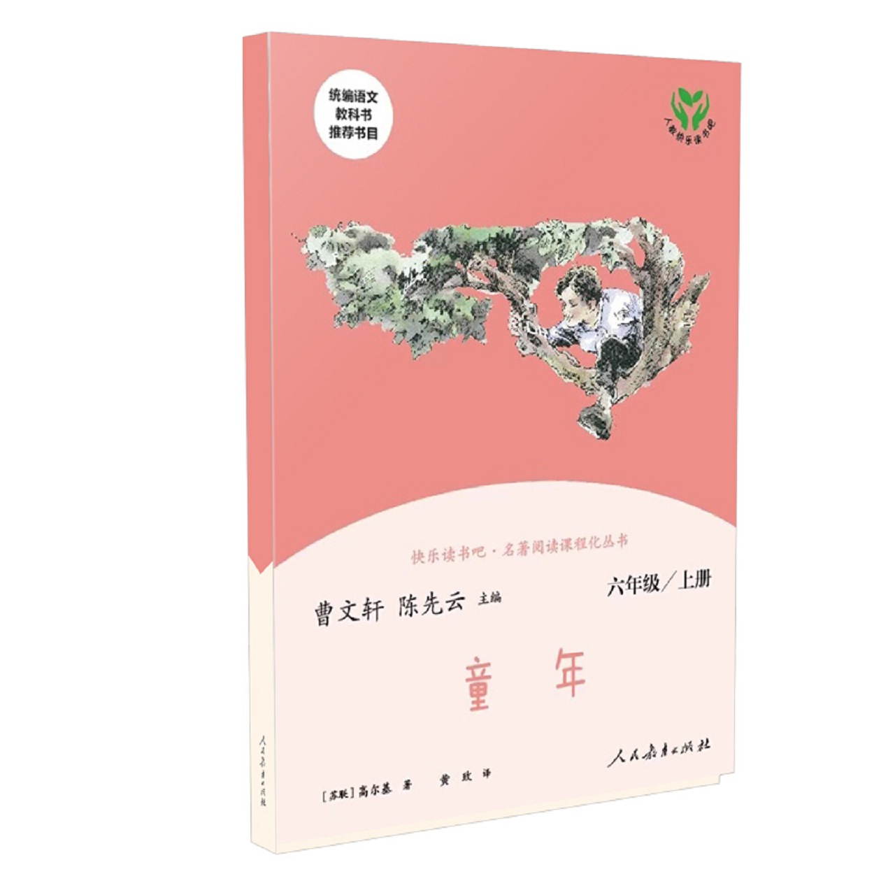 快乐读书吧——童年 六年级上册 名著阅读课程化丛书