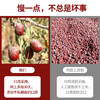 【2025新灰枣】【五谷未来】新疆若羌有机沙漠灰枣皮薄肉紧，可以当零食吃的枣，牛轧糖般的甜 商品缩略图3
