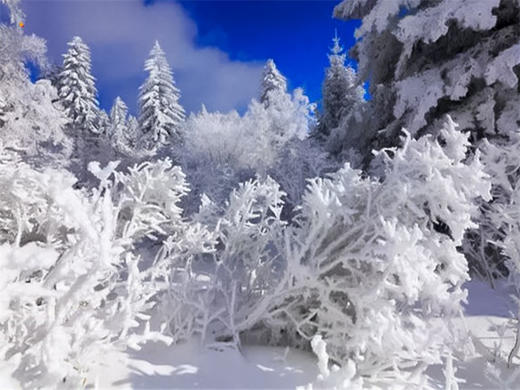 元旦3日【长白山】火车团 探秘北国风光の长白山-天池-魔界-雾凇岛-朝鲜村-赠长白山温泉 商品图1