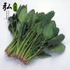 【弘毅六不用生态农场】六不用 顺季节 种植 菠菜 自留种 商品缩略图1