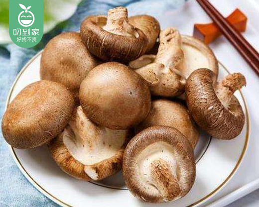 漳州新鲜香菇（去头）/1份（约200g） 商品图2