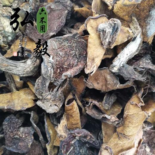 【弘毅六不用生态农场】六不用 牛肝菌 沂蒙山蘑菇 250克/份 商品图0