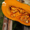 生态板栗南瓜| 合作生产*Chestnut pumpkin(little over saccharification）| Coproduction 商品缩略图1