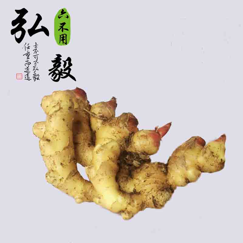 【弘毅六不用生态农场】六不用 生姜 自留老品种