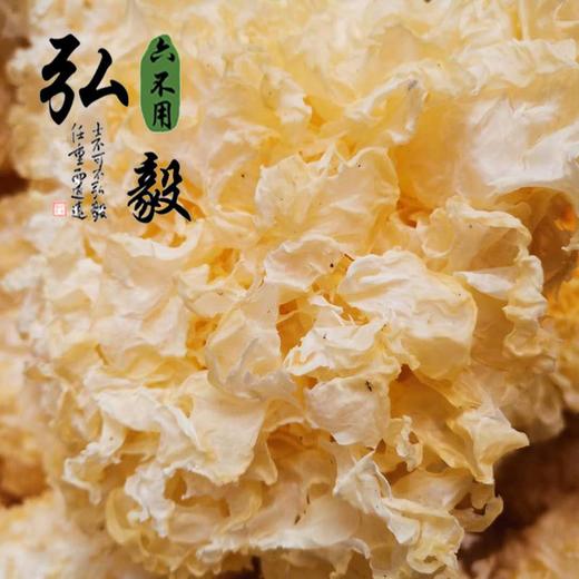 【弘毅六不用生态农场】六不用 银耳 自然色 160克/份 商品图2