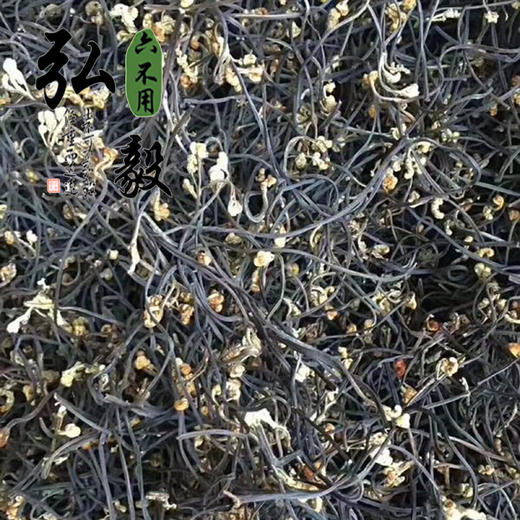 【弘毅六不用生态农场】六不用 蕨菜干 东北特产 0.5斤/份 商品图1