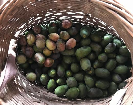 礼袋【野香榧子 】珍贵坚果，百年老树，9807平方公里无排污工厂 商品图5