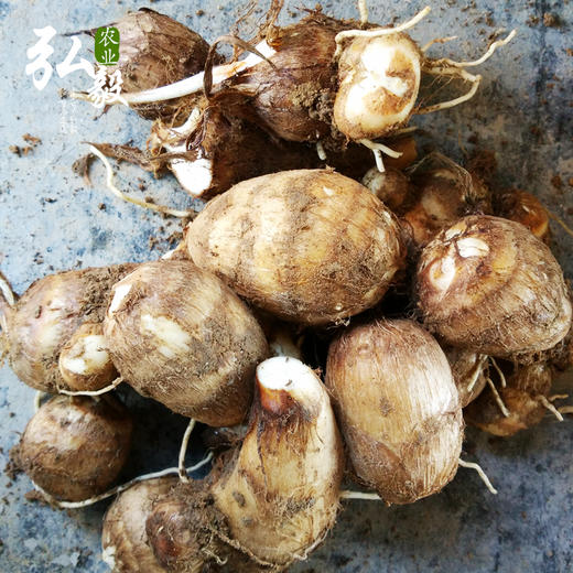 【弘毅六不用生态农场】六不用 顺季节 露地种植 毛芋头 3斤/份 商品图3