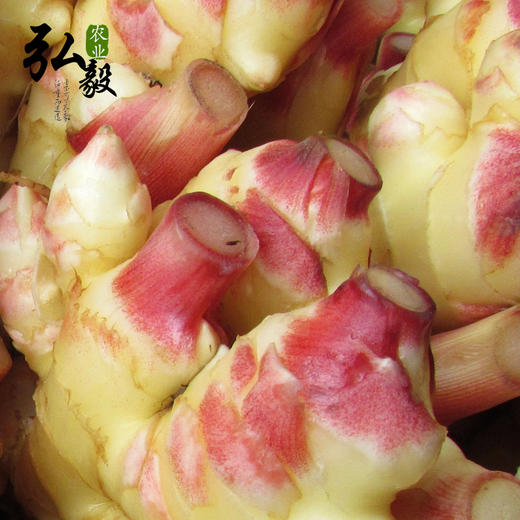 【弘毅六不用生态农场】六不用 生姜 自留老品种 商品图2