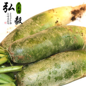 【弘毅六不用生态农场】六不用 顺季节 露地种植 青萝卜