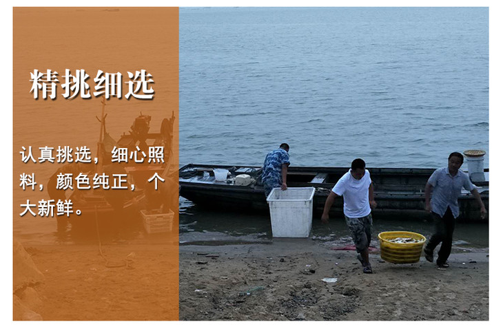 花骨鱼激浪鱼淡水鲜活现杀23条约500克