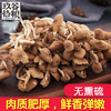 古田茶树菇200克 商品缩略图4