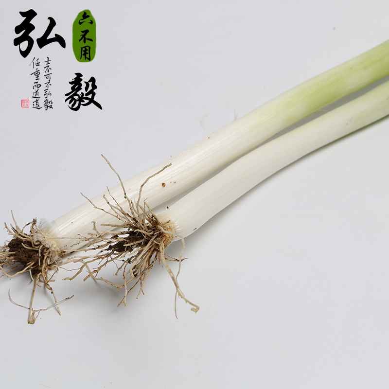 【弘毅六不用生态农场】六不用 大葱 露地种植