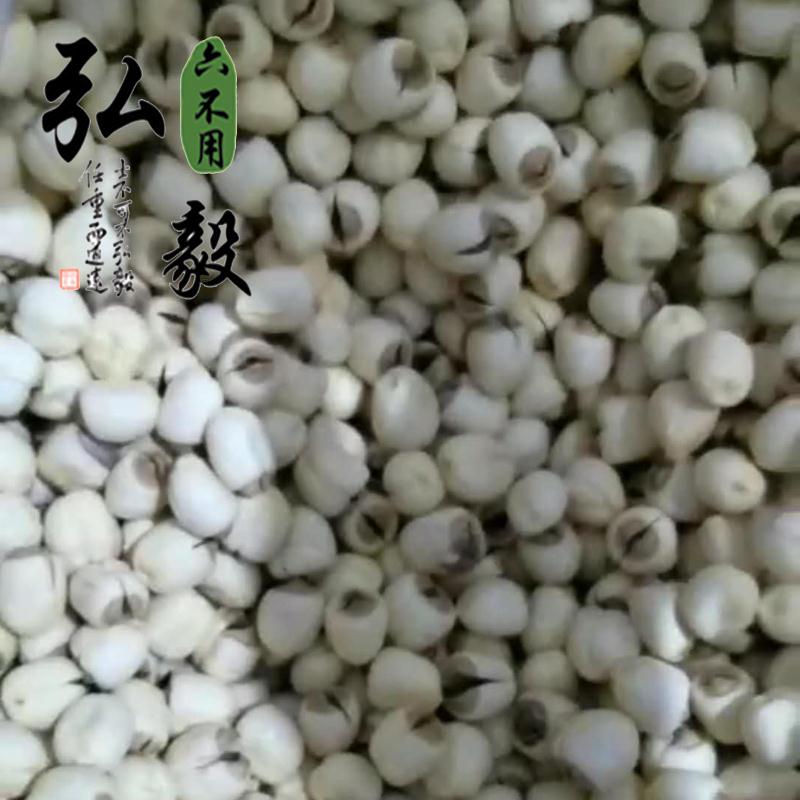 【弘毅六不用生态农场】六不用 莲子 去壳 自然风干 250克/份