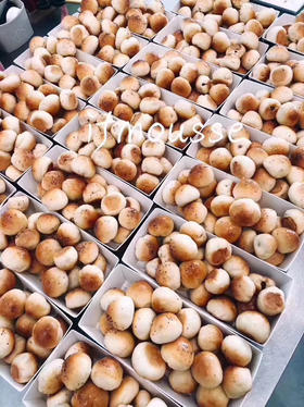 「现货」香肠小面包 超级无敌好吃